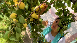 Apricot Ambrosia Boosting Skin Elasticity and Eye Health for Women