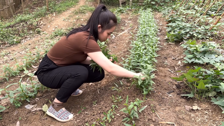 Gardening Therapy Cultivating Growth and Peace of Mind