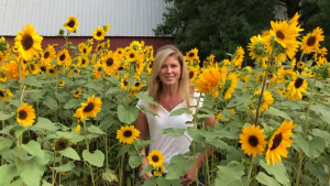 Golden Sunflower Brilliance Energizing Health Benefits and Vitality Boost