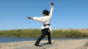 Serene Strength Qi Gong for Women's Energy Balance and Mental Clarity