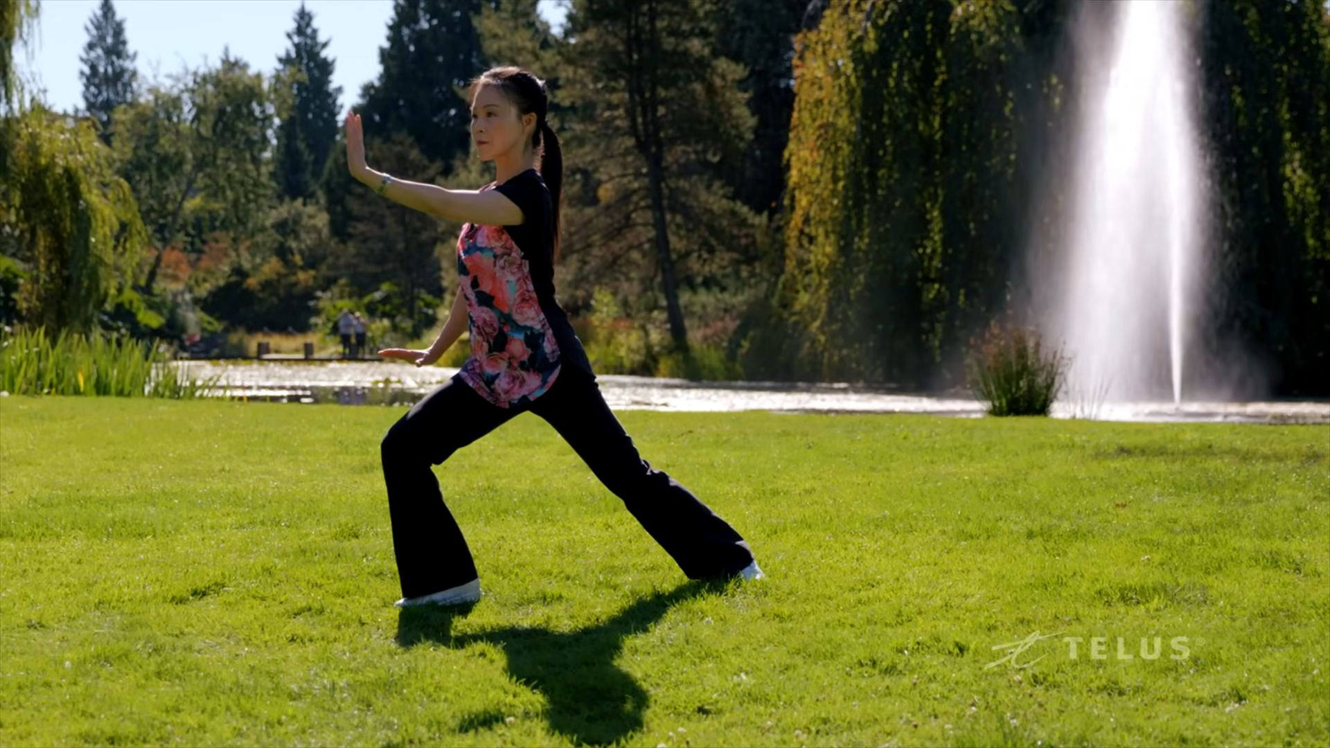 Strength in Serenity Tai Chi for Women's Balance and Mind-Body Harmony