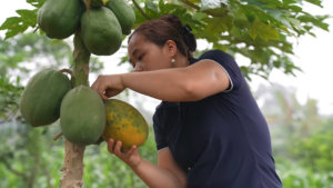 Brightening Skin with Papaya and Honey Face Mask